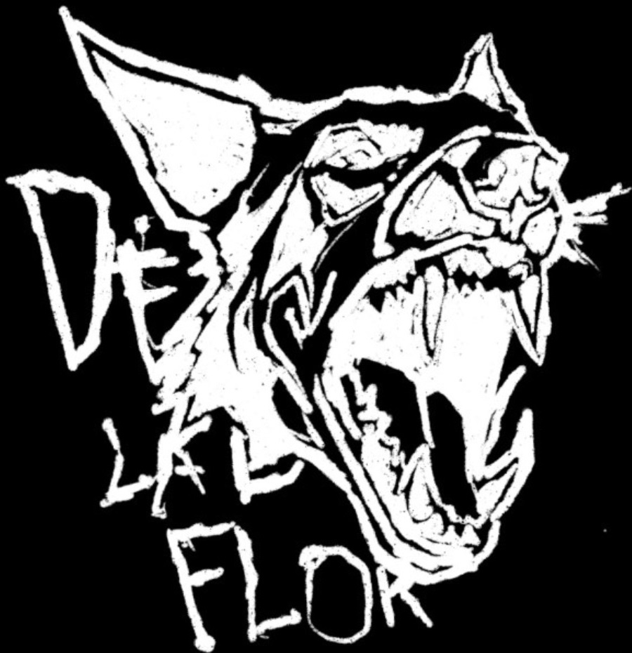 Something went wrong, there should be a logo here :c